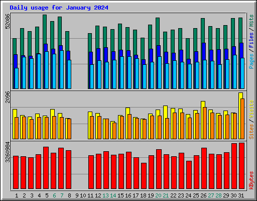 Daily usage for January 2024