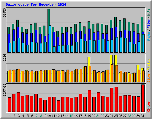 Daily usage for December 2024