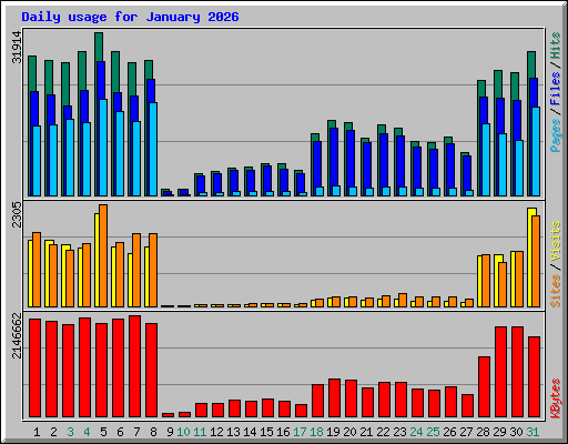 Daily usage for January 2026