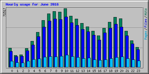 Hourly usage for June 2016