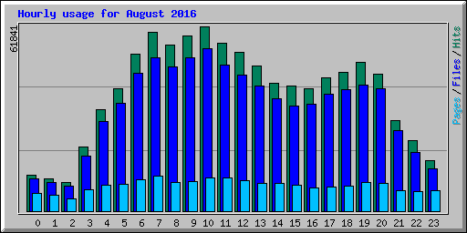 Hourly usage for August 2016