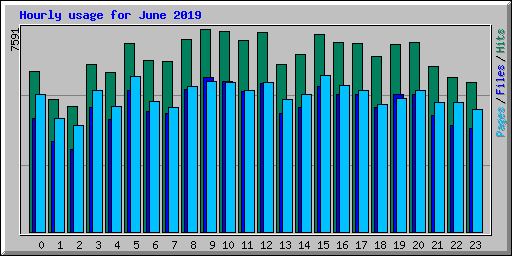 Hourly usage for June 2019