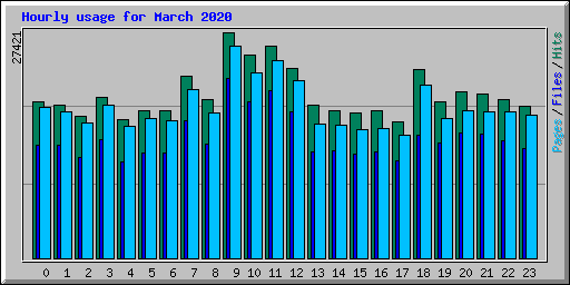 Hourly usage for March 2020