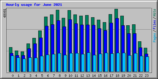 Hourly usage for June 2021