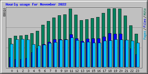Hourly usage for November 2022