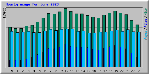 Hourly usage for June 2023