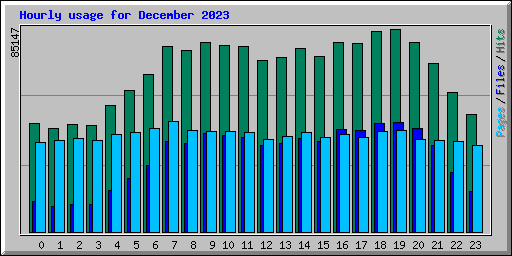 Hourly usage for December 2023