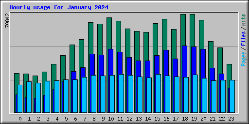 Hourly usage for January 2024