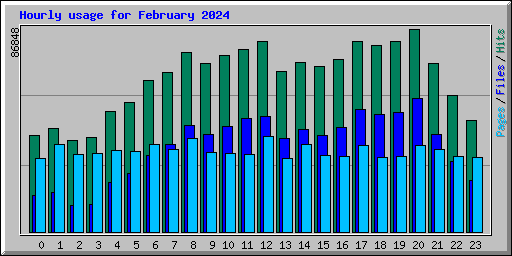 Hourly usage for February 2024