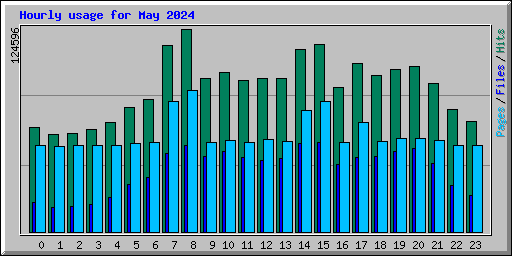 Hourly usage for May 2024