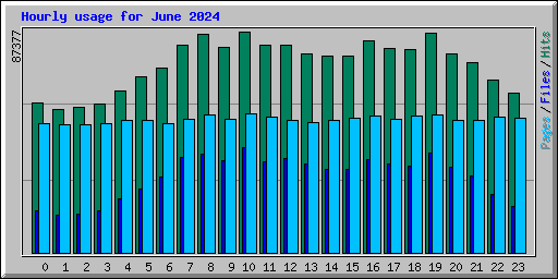 Hourly usage for June 2024