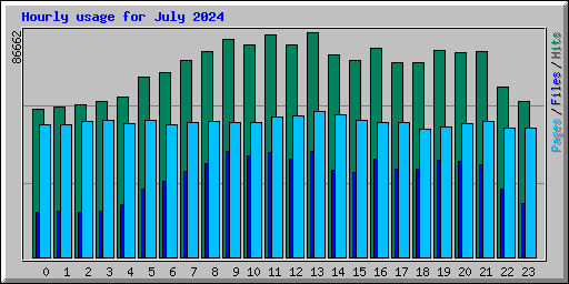 Hourly usage for July 2024