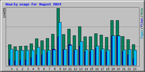 Hourly usage for August 2024