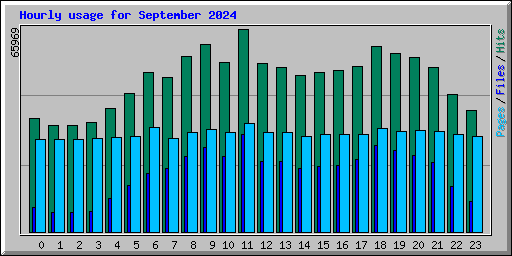 Hourly usage for September 2024