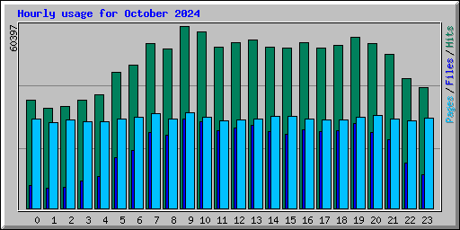 Hourly usage for October 2024