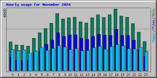 Hourly usage for November 2024