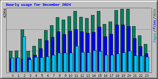 Hourly usage for December 2024