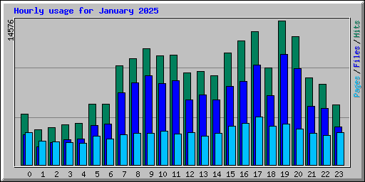 Hourly usage for January 2025