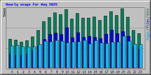 Hourly usage for May 2025