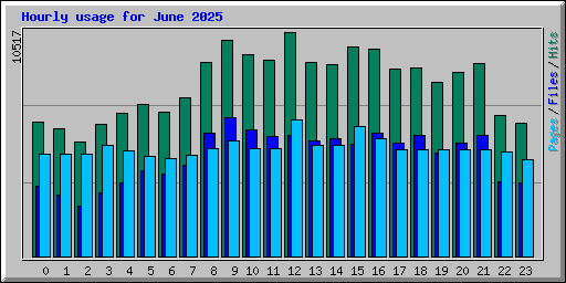 Hourly usage for June 2025