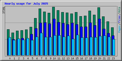 Hourly usage for July 2025