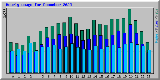 Hourly usage for December 2025