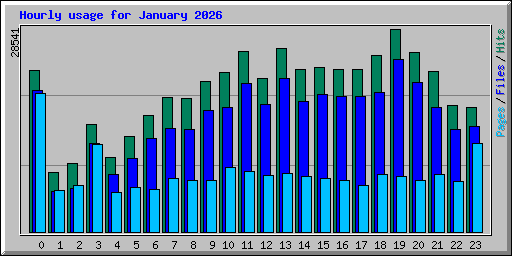 Hourly usage for January 2026