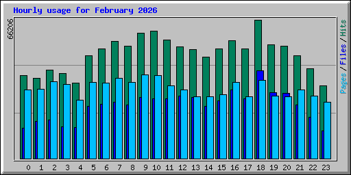 Hourly usage for February 2026