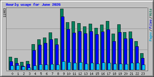 Hourly usage for June 2026