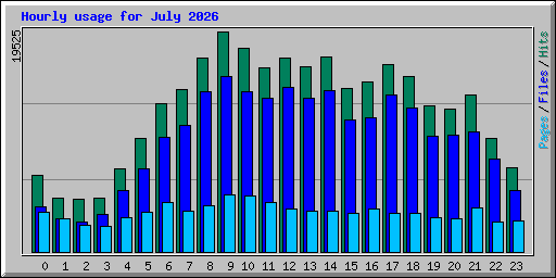 Hourly usage for July 2026
