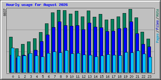 Hourly usage for August 2026